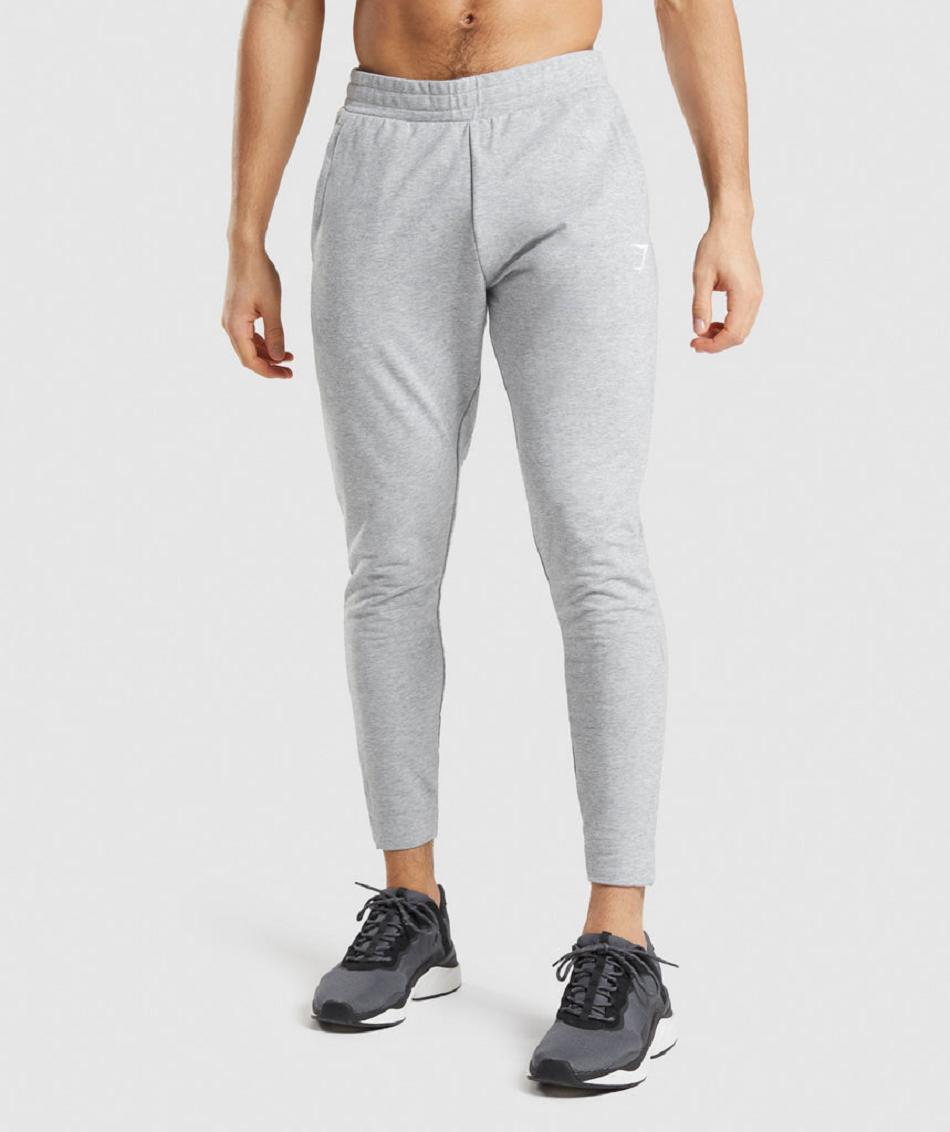 Gymshark Critical 2.0 Muške Jogger Hlače Svijetlo Sive | HR 2928FDN